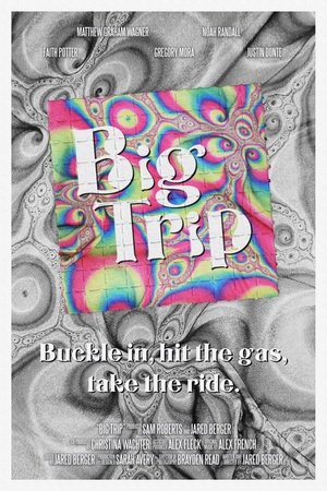 Big Trip (2024) Hindi (MULTI AUDIO) – – 1080p