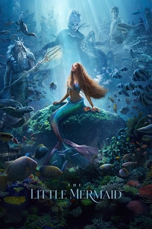 The Little Mermaid (2023) Hindi (ORG 5.1) |