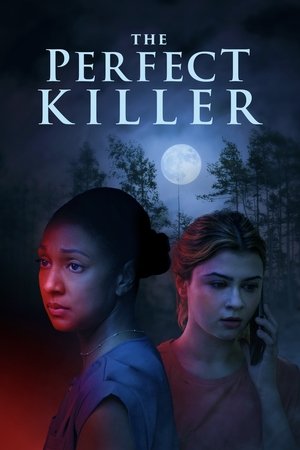 The Perfect Killer (2025) Hindi (MULTI AUDIO) – – 1080p